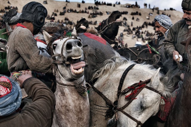 buzkashi 0908